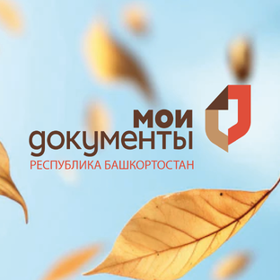Статистика Дзен МФЦ Республики Башкортостан