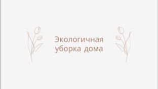ЭКО уборка дома