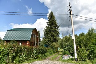 Дачные дела