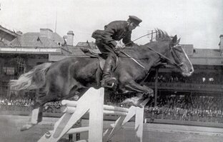 Кавалерия и конный спорт