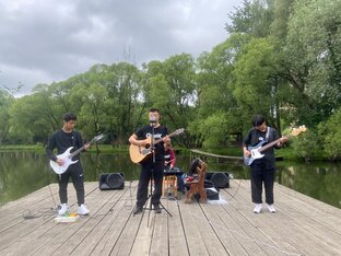 Концерты,группы,уличные музыканты
