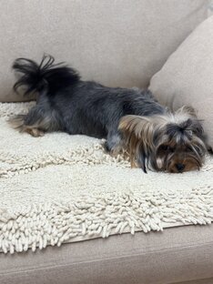 Стерилизация. 