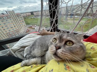 Мне этот мир понятен 