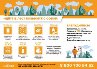 Инструкции ЛизаАлерт