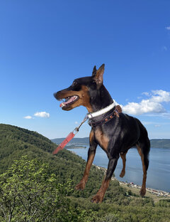 Путешествуем с Альфой 