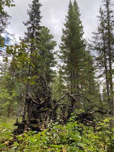 Отдых и природа