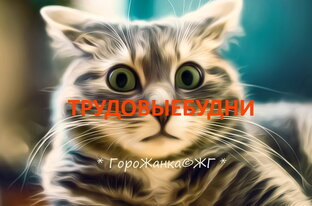 ТРУДОВЫЕБУДНИ