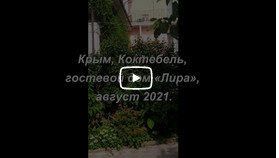 Ассорти