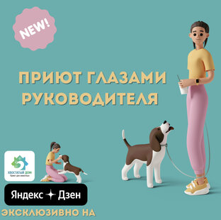 Жизнь приюта глазами руководителя 