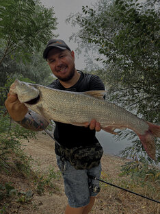 Ловля жереха