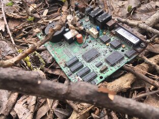 ЛЕСНЫЕ СВАЛКИ!!! 