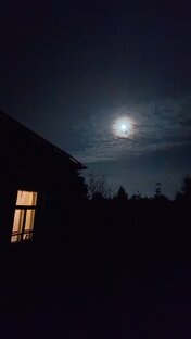 Разносторонние видео окружающие мой мир 