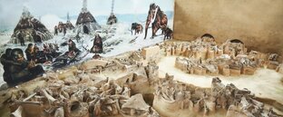 Оно того стоит❗️ или Уникальные места Брянской области, которые стоит увидеть