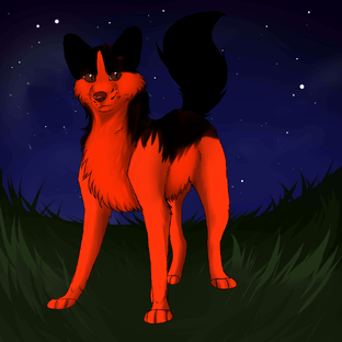 Про смайл дога 