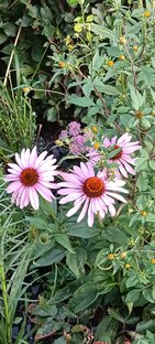 Психологические заметки. Из личного опыта