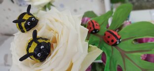 Скорлупа грецкого ореха🌰