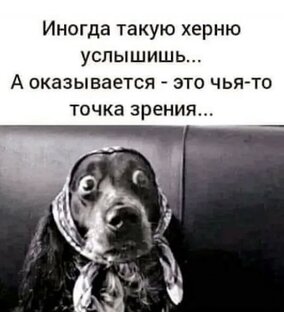 Загадочные мужчины или МД-дюки