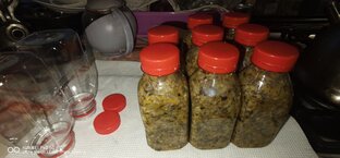 Заготовка грибной икры из опят аля-СССР