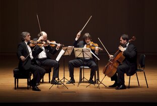 Музыка, эстрада