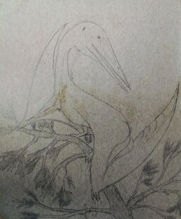 миф и реальность