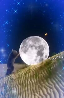 Почему "Путь к коммунизму" в СССР был таким коротким?!