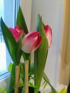 Приятные воспоминания