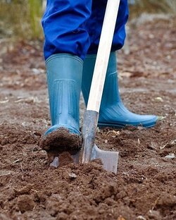 Мой приусадебный участок