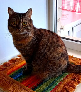 Марусины стихи