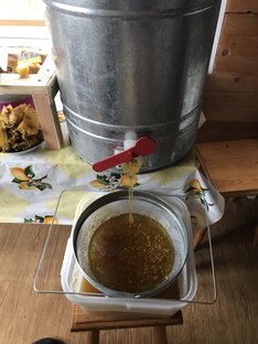 Пчеловодство 