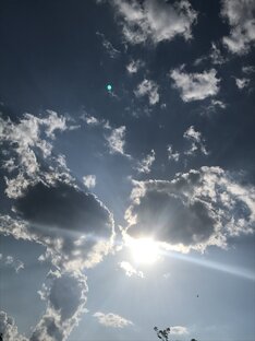 Откровенно