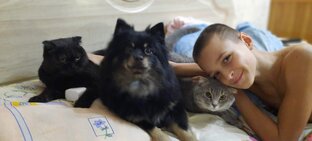 Дети и домашние животные в одном доме