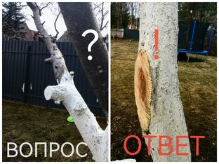 Внимание! ВОПРОС?-ОТВЕТ!