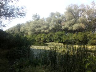 Караич. Рыбалка..