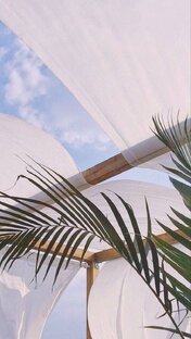 Всё о консультациях