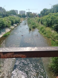 Небольшая речка 👍