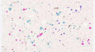 Мое образование