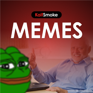 Мемы на каждый день