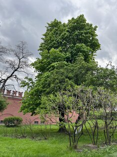 Антропогенные воздействия на атмосферу 