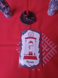 Реза дня