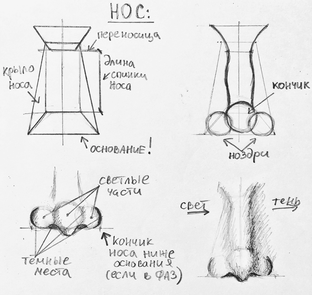 Строим глаза/нос/губы 