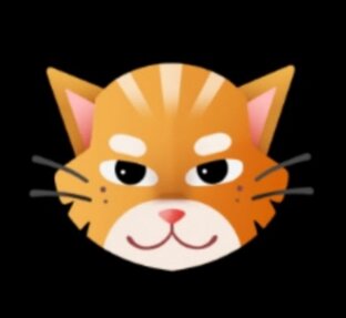 Ваш Инди Кот 