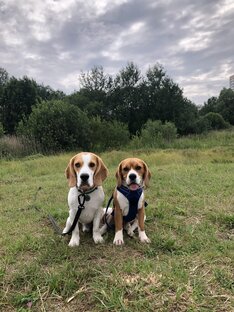 Игры своими руками