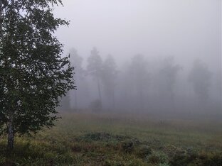 Философствование