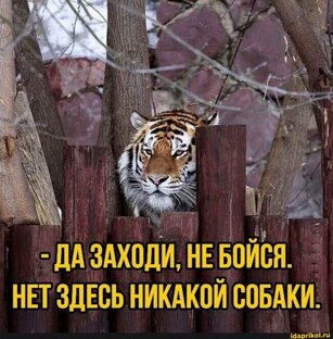 Иронично об обычном 