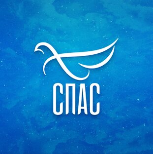 Телеперадачи канала "Спас"