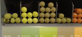 Всё по полочкам