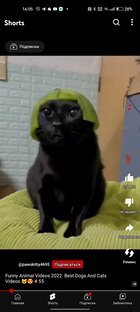Пов