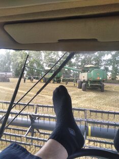 Немного обо всем.