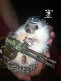 Братья меньшие