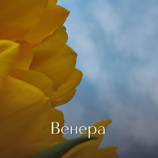 Венера